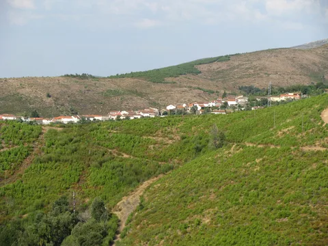 Parada de Monteiros — pormenor